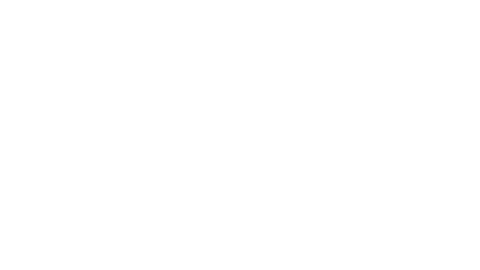 Company 1